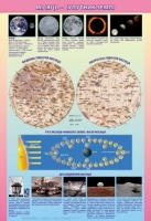 Плакат Місяць-супутник Землі