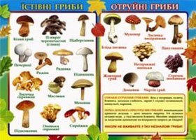 Плакат Пм- 3 Їстивні гриби Отруйні гриби 240*338