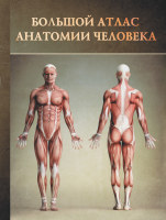 Большой  атлас анатомии человека