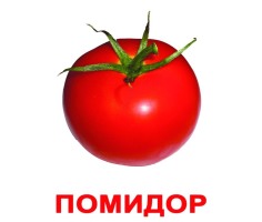 Карточки Русские Ламинированные Овощи 200 фактов 100 заданий 20 шт 19,5х16,5