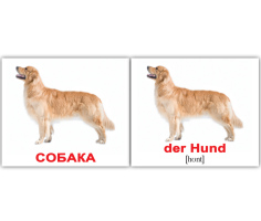 Карточки Русско-немецкие Домашние животные Haustiere 20 мини 100х80