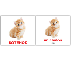 Карточки Русско-французские Домашние животные Les animaux domestigues 20 мини 100х80