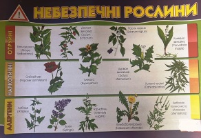 Плакат Небеспечні рослини