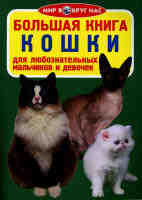 Большая книга Кошки  для любознательных мальчиков и девочек