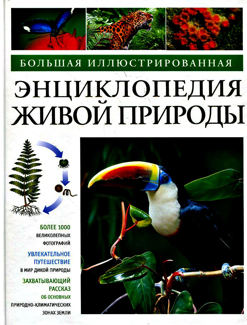 Энциклопедия живые картинки
