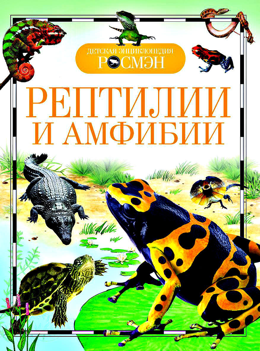 Фото Детских Энциклопедий
