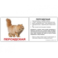 Карточки русские Породы кошек 120 фактов 20 заданий 100х85
