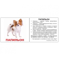 Карточки русские Породы собак 240 фактов 40 заданий и загадок 100х85
