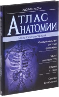 Атлас анатомии