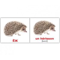 Карточки Русско-французские  Дикие животные Les animaux sauvages 20 мини 100х80
