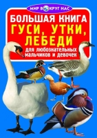 Большая книга Гуси, утки, лебеди   для любознательных мальчиков и девочек