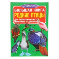 Большая книга. Редкие птицы для любознательных мальчиков и девочек