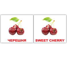 Карточки Англо-русские Двусторонние Фрукты Fruit 40 мини 100х80