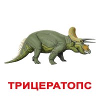 Карточки Ламинированные Русские Динозавры 200 фактов 60 заданий и загадок 20 шт 19,5х16,5