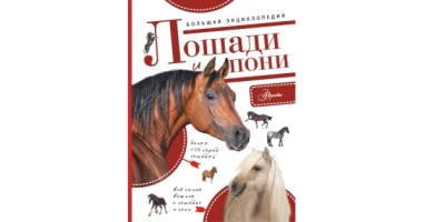 Большая энциклопедия Лошади и пони
