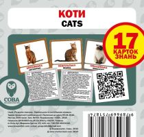 Коти 17 карток