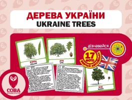 Картки "РОЗВИТОК МАЛЮКА" Дерева України  17 карток 17 англійських слів з українським перекладом з одного боку і цікавими фактами з іншого
