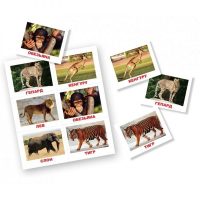 Карточки Животные 10 игровых полей 60 шт 19,5х16,5