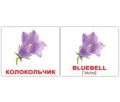Карточки Англо-русские Цветы Flowers 2 мини 100х80