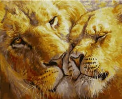 Закохані леви  VA-1766 Картини за номерами Розмір 40х50 cм