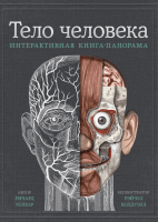 Тело человека Интерактивная книга-панорама 3D-иллюстрации