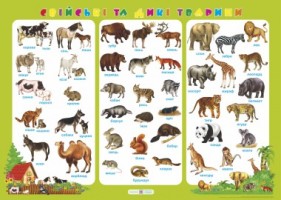 Плакат "Свійські та дикі тварини"