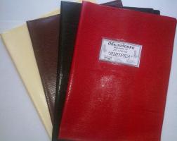 Обкладинки для класних журналів "Ящірка" 300х440 мм