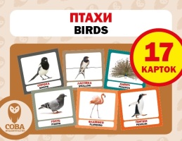 Картки "РОЗВИТОК МАЛЮКА" Птахи 17 карток 17 англійських слів з транскрипцією на зворотному боці і переклад українською