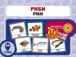 Картки "РОЗВИТОК МАЛЮКА" Риби 17 карток 17 англійських слів з транскрипцією на зворотному боці і переклад українською